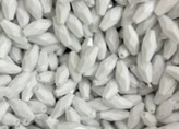 تابستان خنک و مطبوع